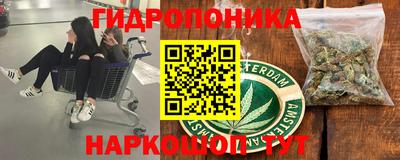 крисы Донецк