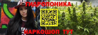 хмурый Донской
