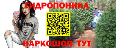 крисы Донецк