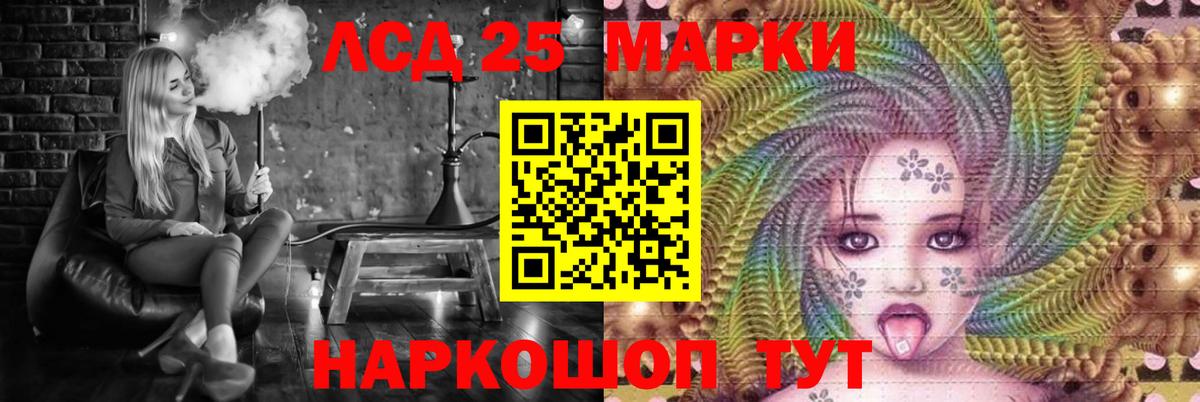 Гашиш Курчатов
