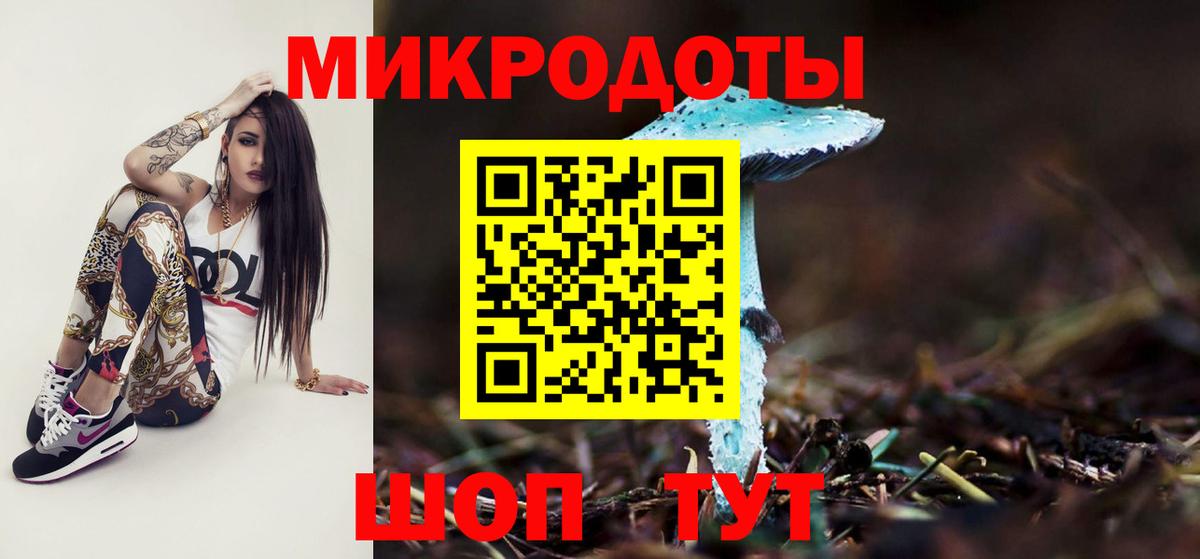 Курчатов  Галлюциногенные грибы мухоморы  Вход с VPN 